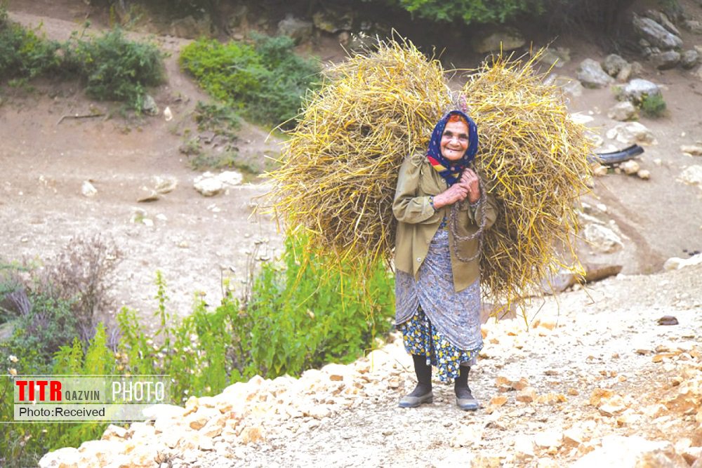 قرار گیری 106 هزار خانوار روستایی در قزوین زیر چتر بیمه