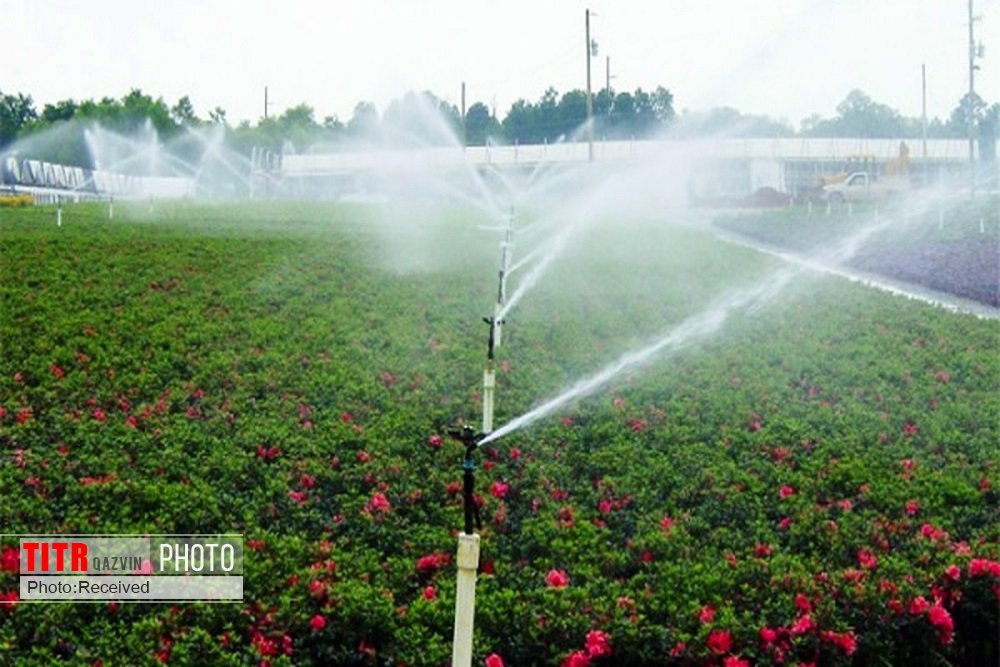 88 درصد منابع آبی قزوین در بخش کشاورزی مصرف می‌شود