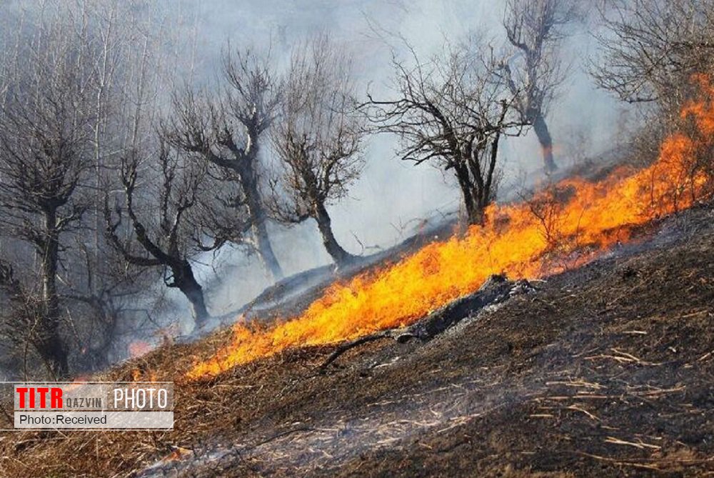 خشک سالی و آتش سوزی در کمین مراتع قزوین