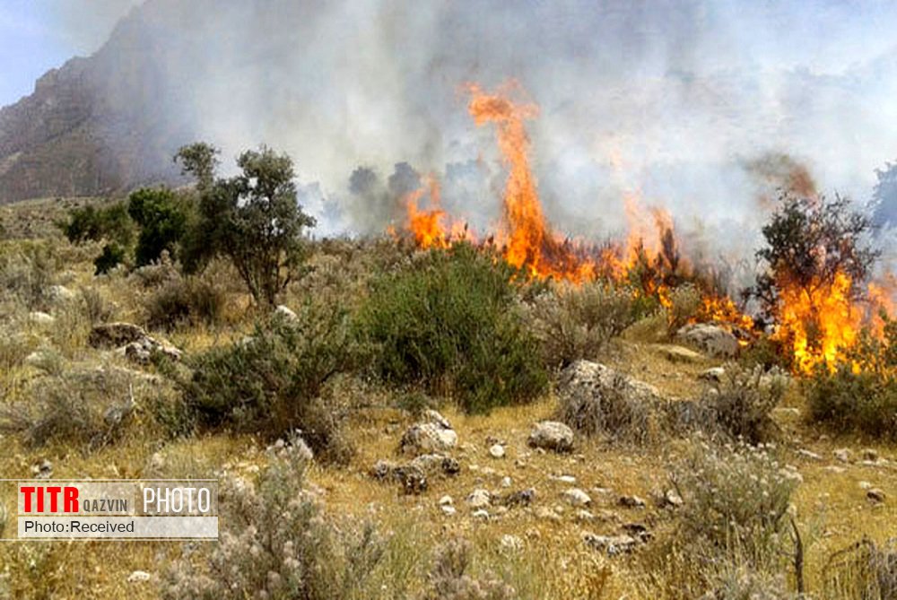 63 هکتار از مراتع قزوین در آتش سوزی خسارت دید 