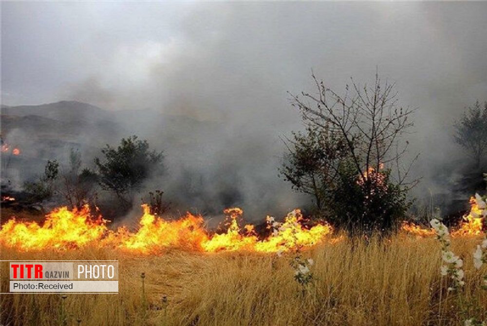 آتش‌سوزی در باغ‌ها و مزارع قزوین افزایش یافت