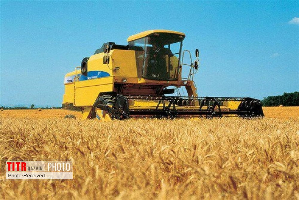 کاهش خرید گندم در شهرستان تاکستان