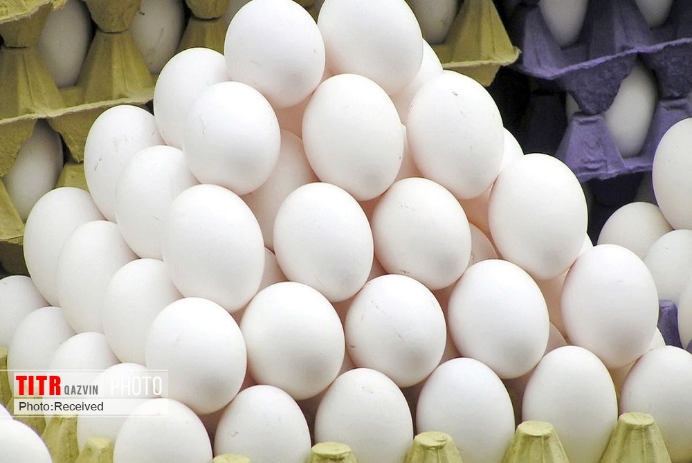 عرضه کنندگان تخم مرغ با بالاتر از قیمت مصوب در قزوین به تعزیرات معرفی می‌شوند