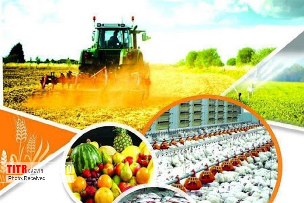 بخش کشاورزی قزوین برای بیش از دو هزار نفر اشتغالزایی کرد
