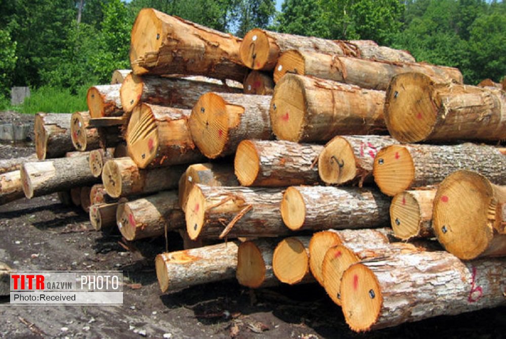 کشف 10 تن چوب قاچاق در شهرستان قزوین