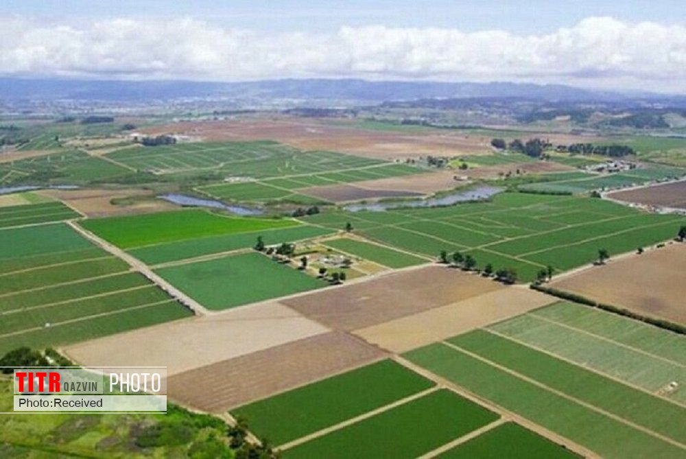 تحول کشاورزی قزوین با اجرای مصوبات سفر ریاست جمهوری شکل می‌گیرد