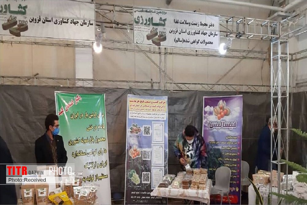 بیش از دو تن محصول سالم در نمایشگاه کشاورزی قزوین عرضه شد