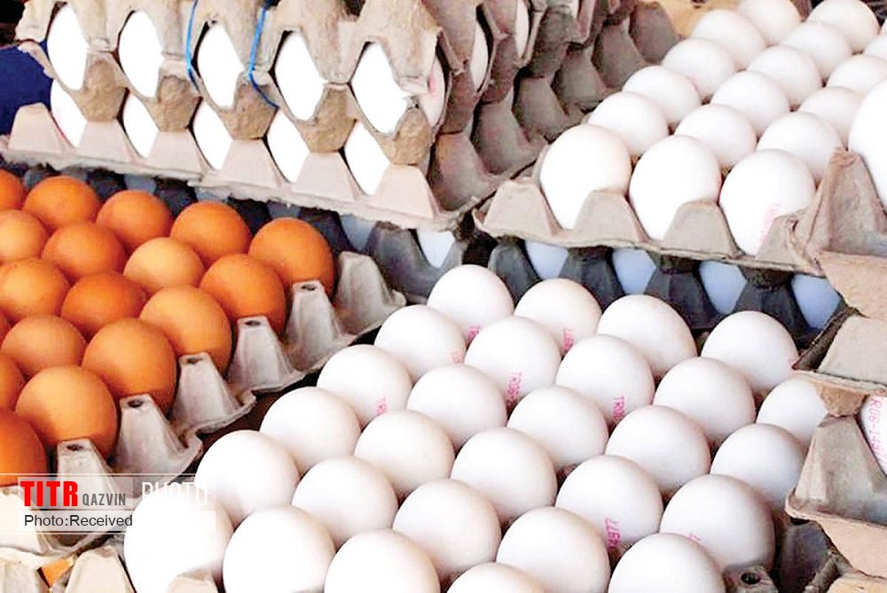 بیش از هزار تن تخم مرغ از گمرک قزوین صادر شد