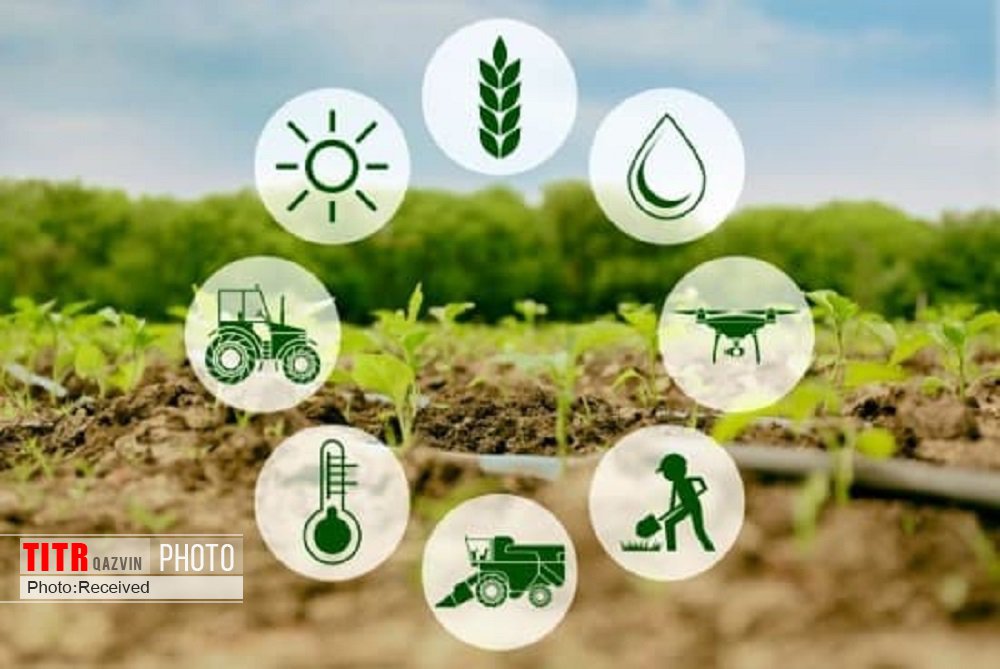 موانع توسعه کشاورزی قزوین با روش دانش قابل رفع می‌شود
