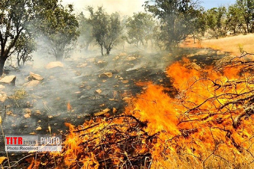 مهار شدن آتش سوزی در مراتع الموت غربی