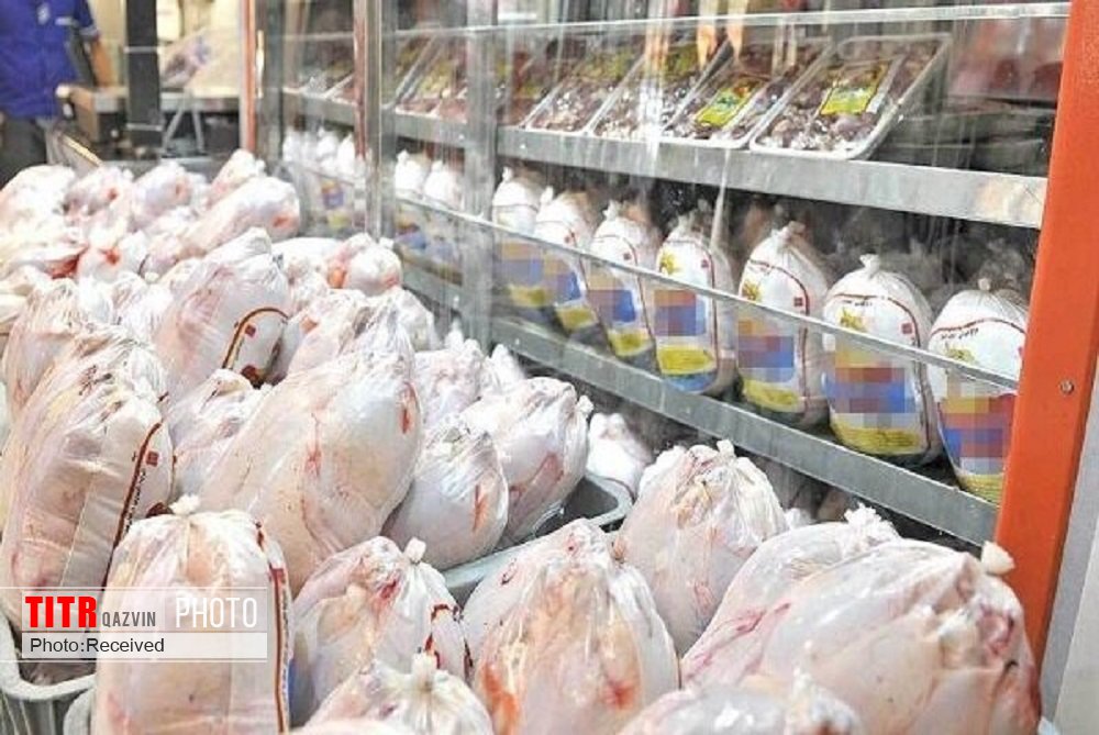 خرید و عرضه مرغ در قزوین تحت نظارت کارشناسان قرار می‌گیرد