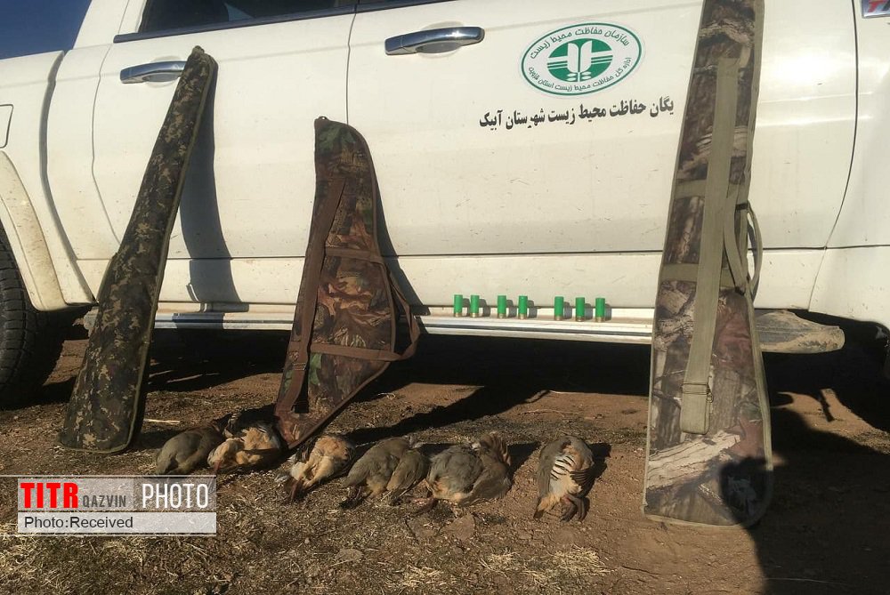 دستگیری دو شکارچی غیرمجاز در آبیک