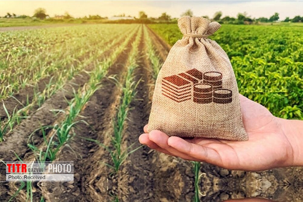 اعتبار 192 میلیاردی برای تسهیلات کشاورزی در قزوین