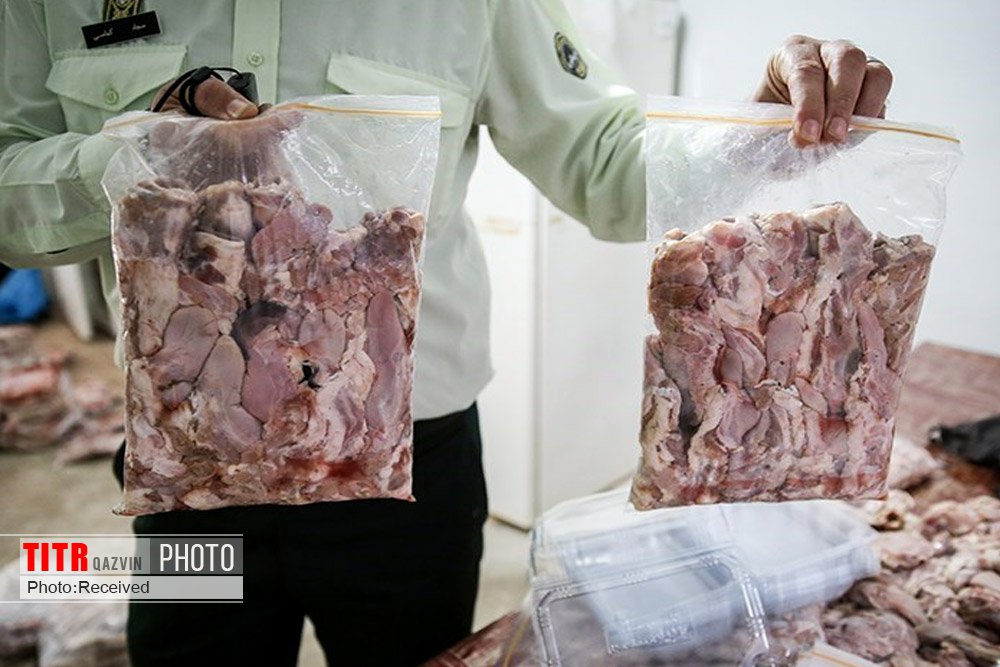 1500 کیلوگرم گوشت غیرقابل مصرف در قزوین کشف شد