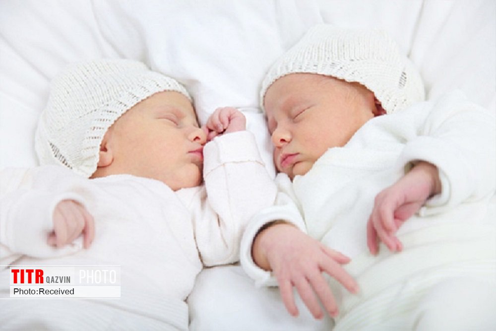 242 نوزاد دوقلو در قزوین متولد شدند