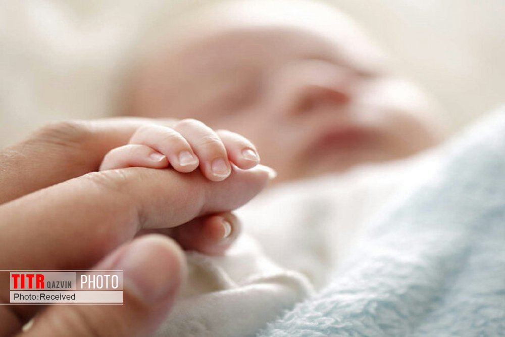 تولد هفت هزار نوزاد قزوینی ثبت شد/ کاهش یک درصدی میزان تولد