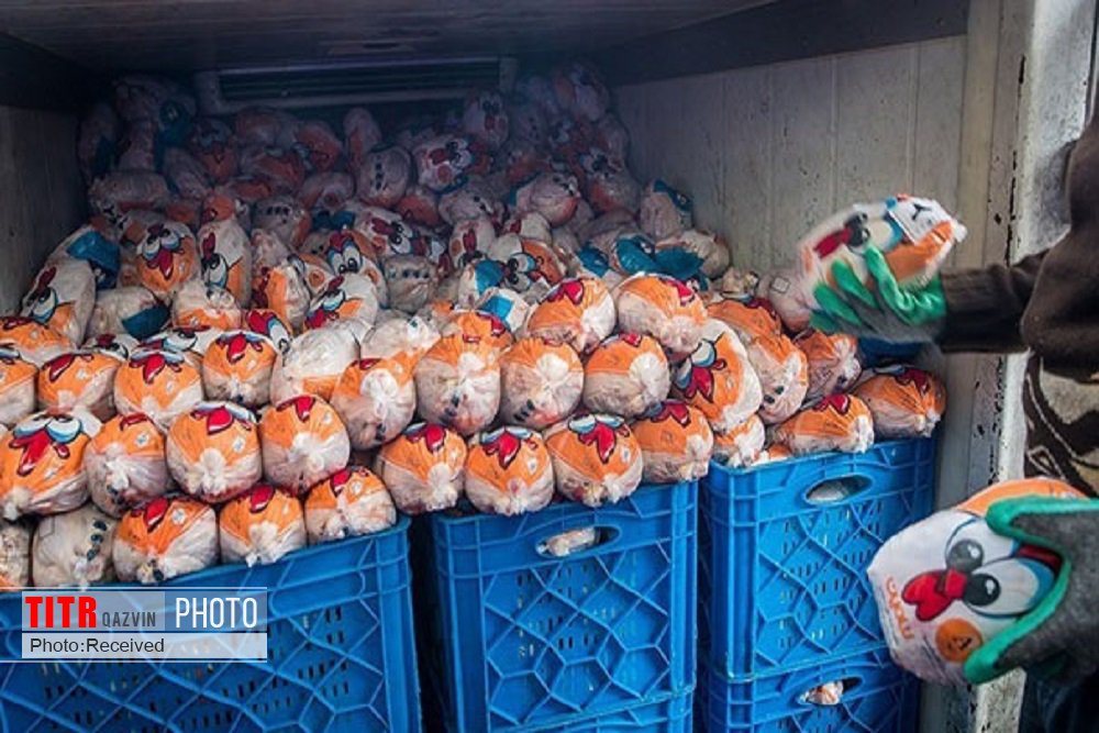 پلمب ویژه برای حمل مرغ در قزوین اعمال می‌شود