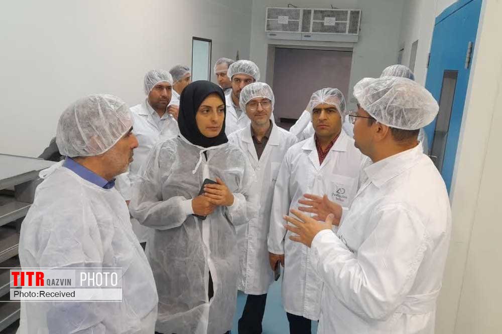 فعالیت 357 واحد تولیدی صنایع غذایی در استان قزوین